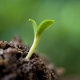 breathwork_evolving_hopeful-learning