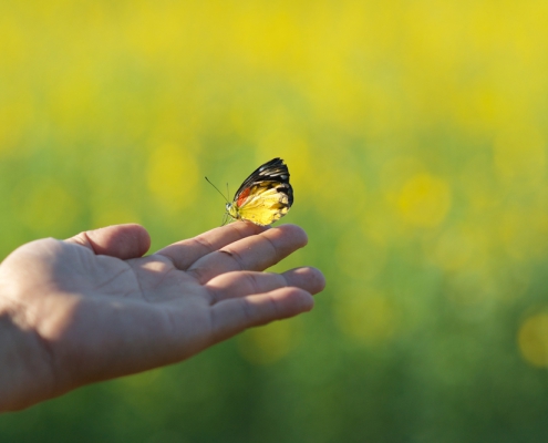 Personal Retreats