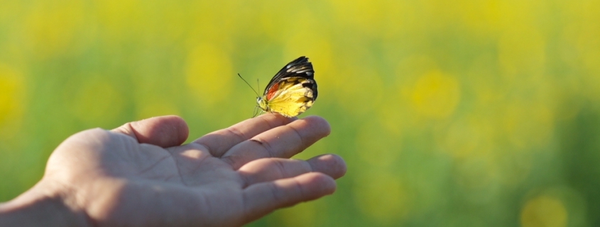 Personal Retreats