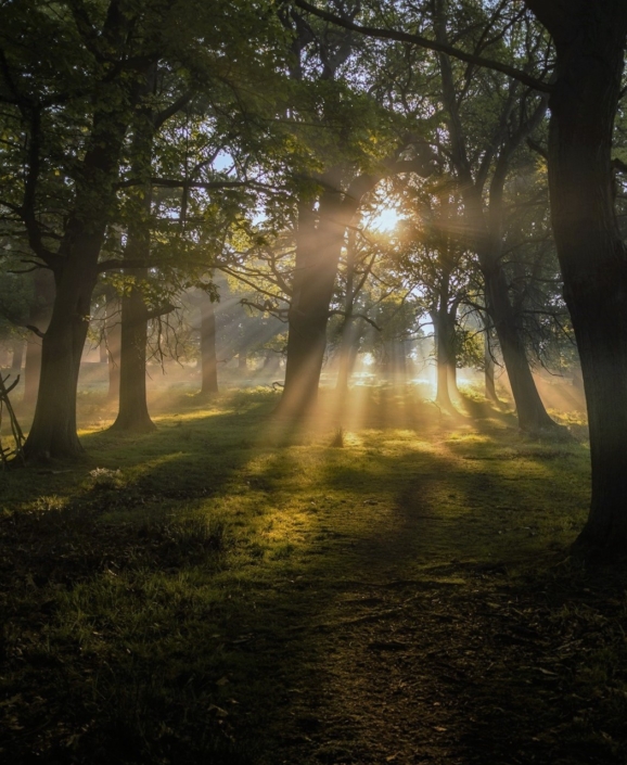 Breathwork retreat